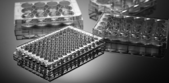 NEST細胞培養多孔盤