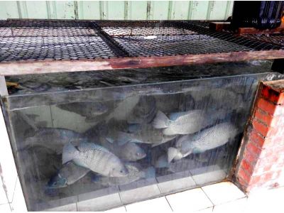 名月居平價小吃店-undefined