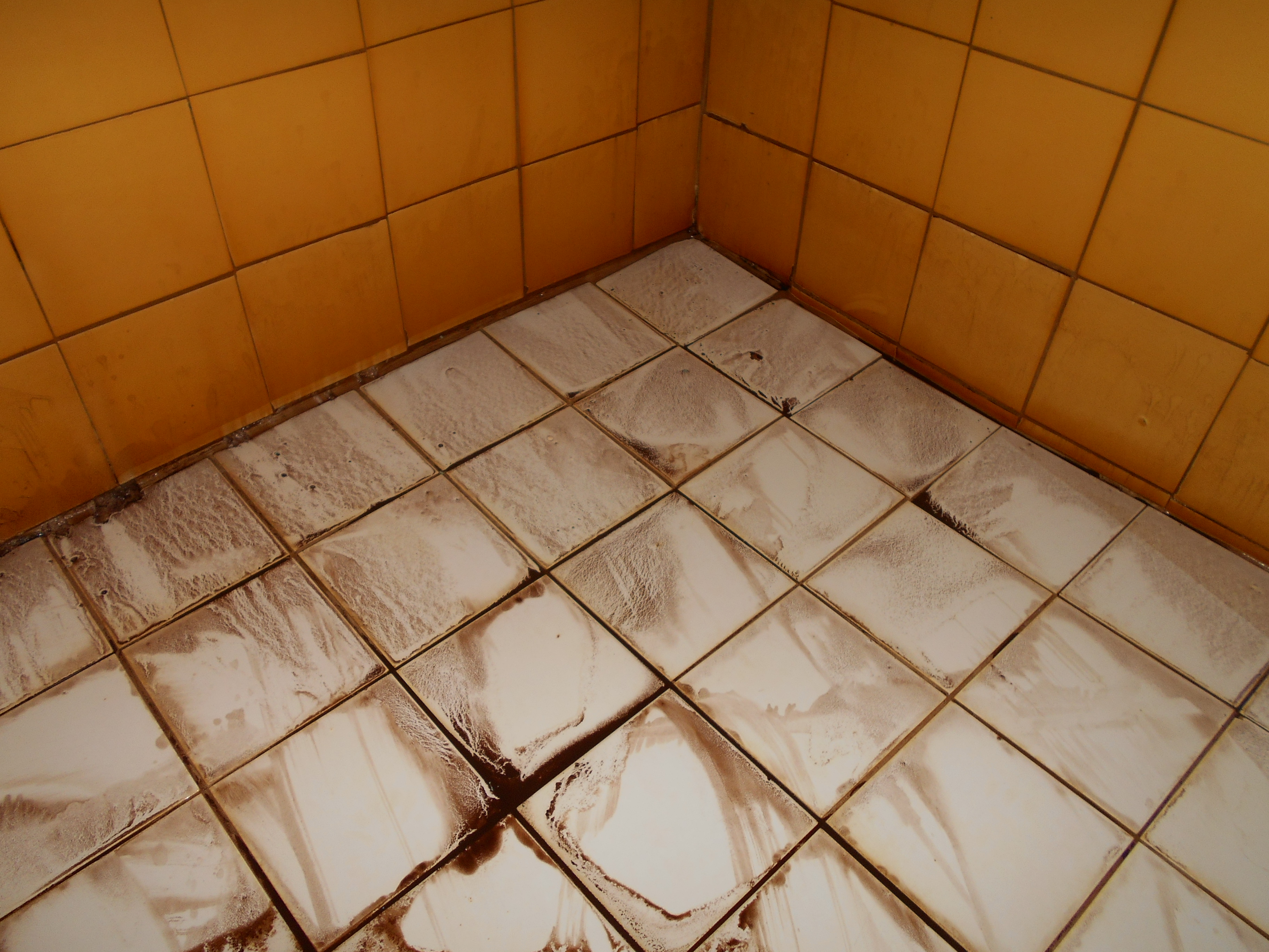 基隆八斗子住家洗水塔前