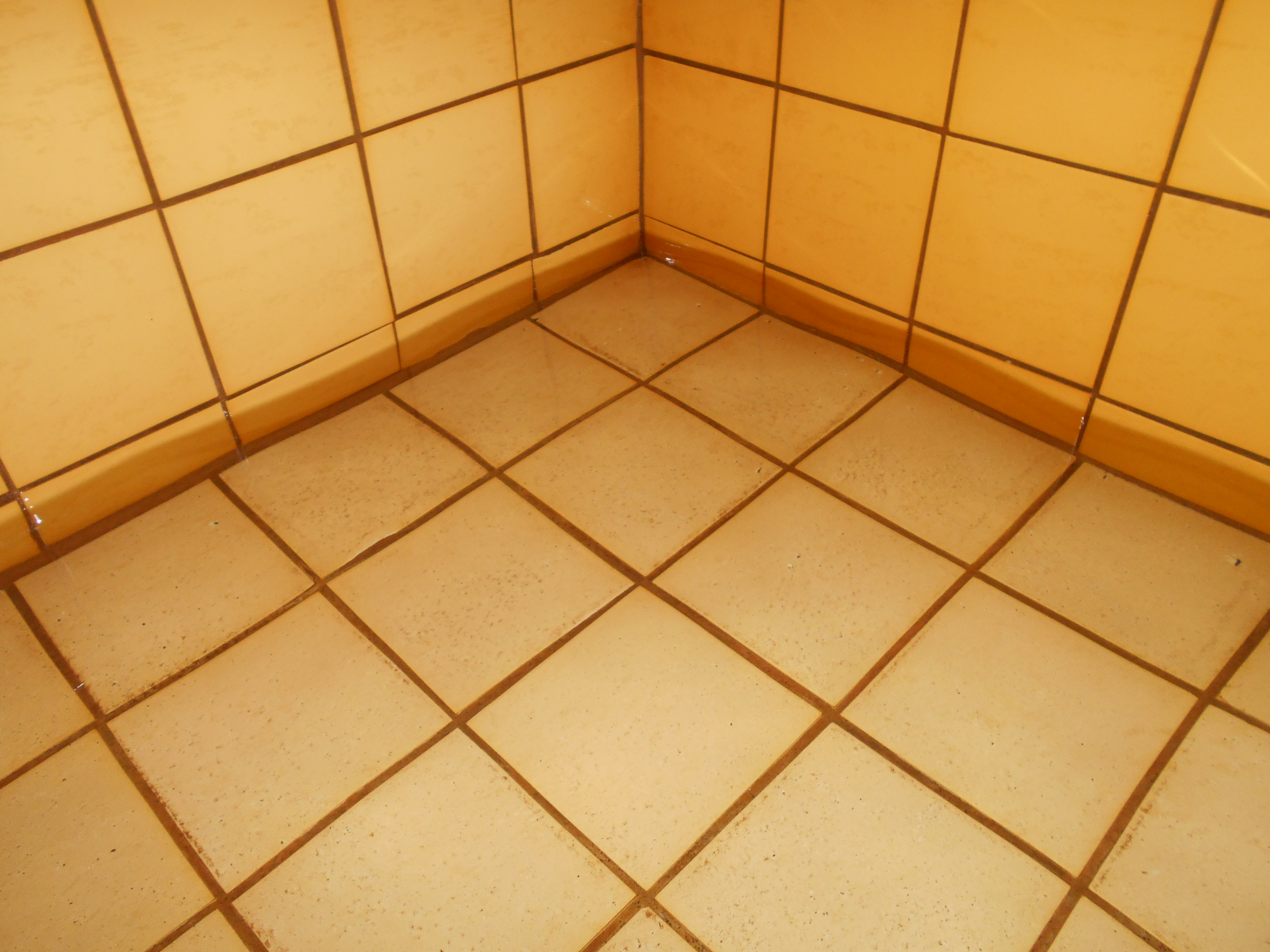 基隆八斗子住家洗水塔前