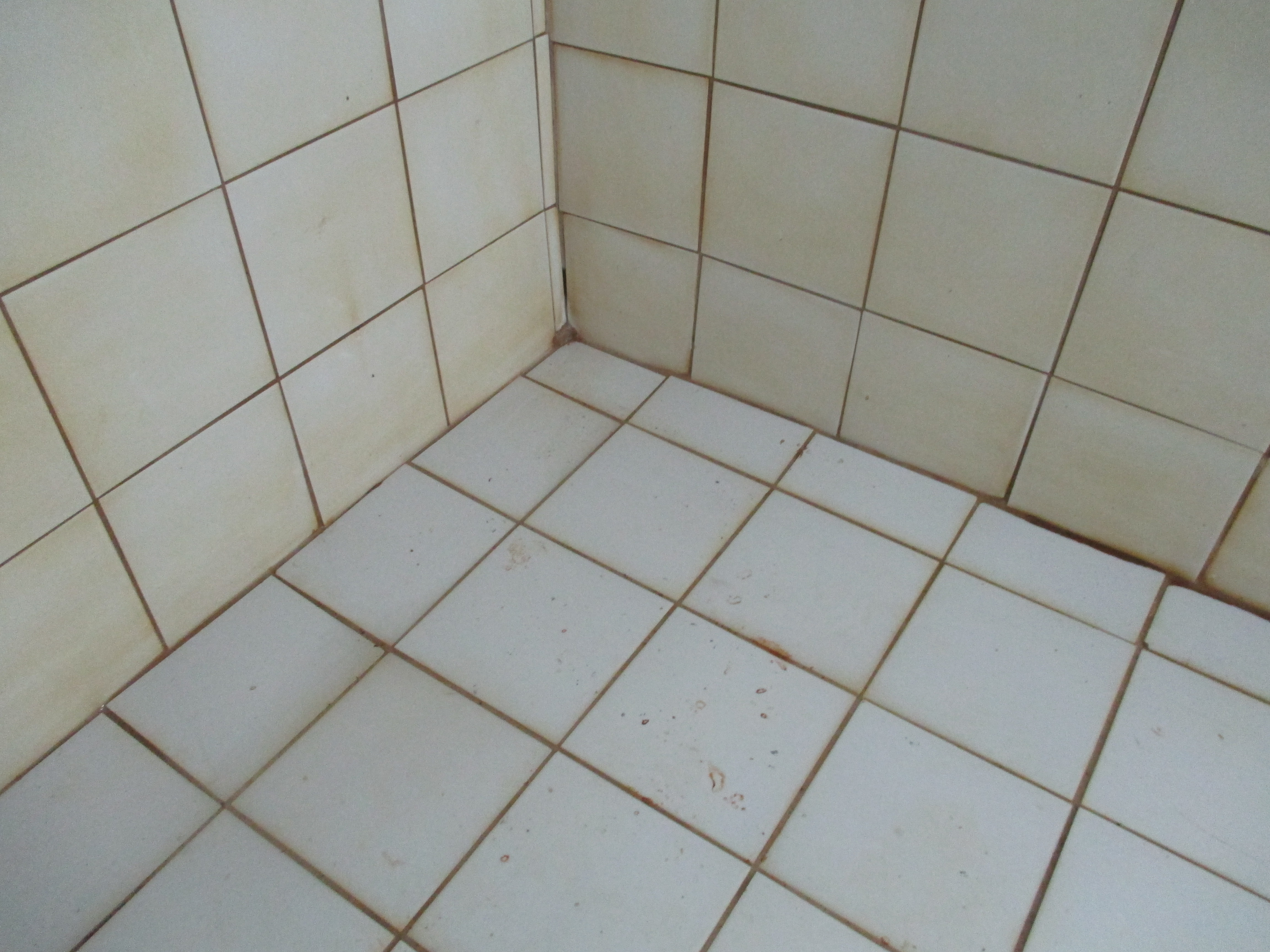 基隆八斗子住家洗水塔後