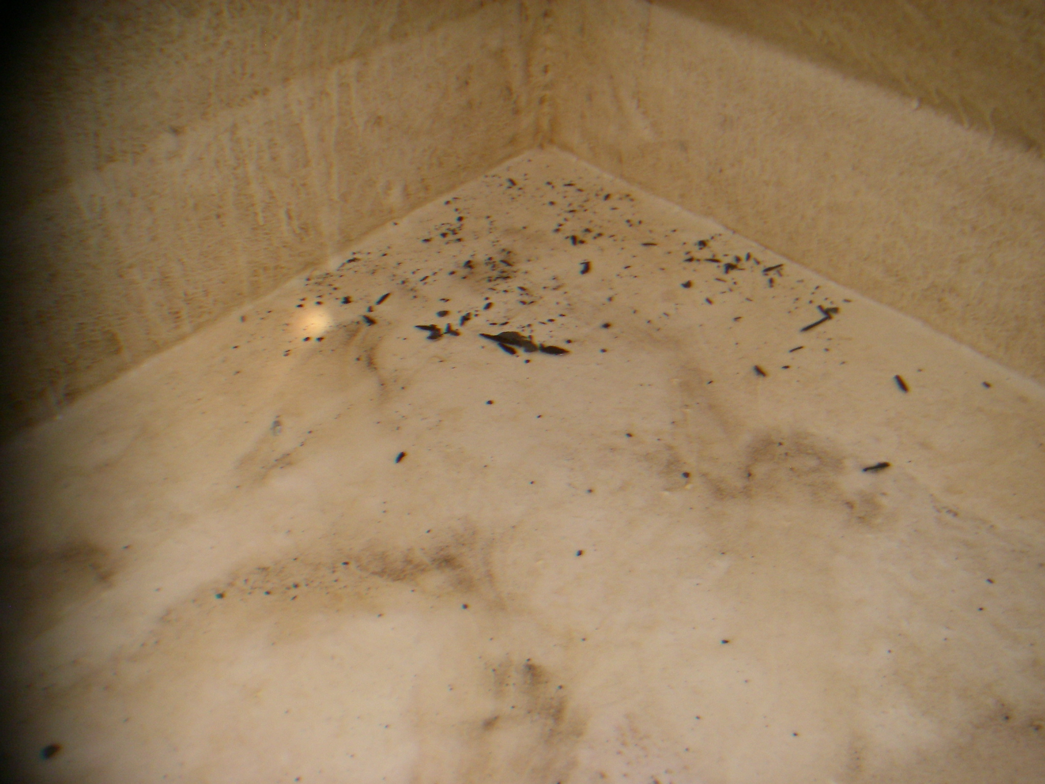 基隆仁愛區社區洗水塔前