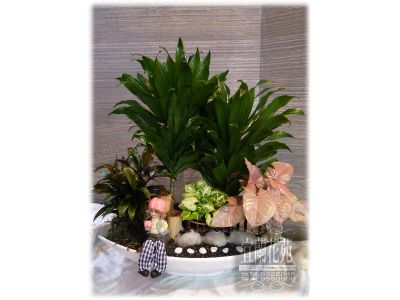 宜蘭花苑-undefined