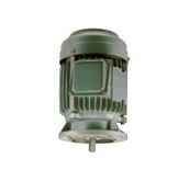 三相馬達-AEUL立式