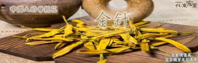 花東宏宣企業社-undefined