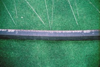 雙羽定位噴水帶