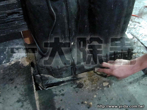 文化園區石板屋