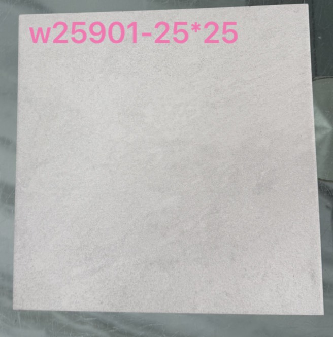 W25901