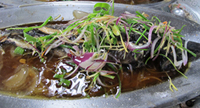 清蒸魚