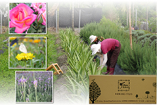 花泡沫天然手工皂-undefined