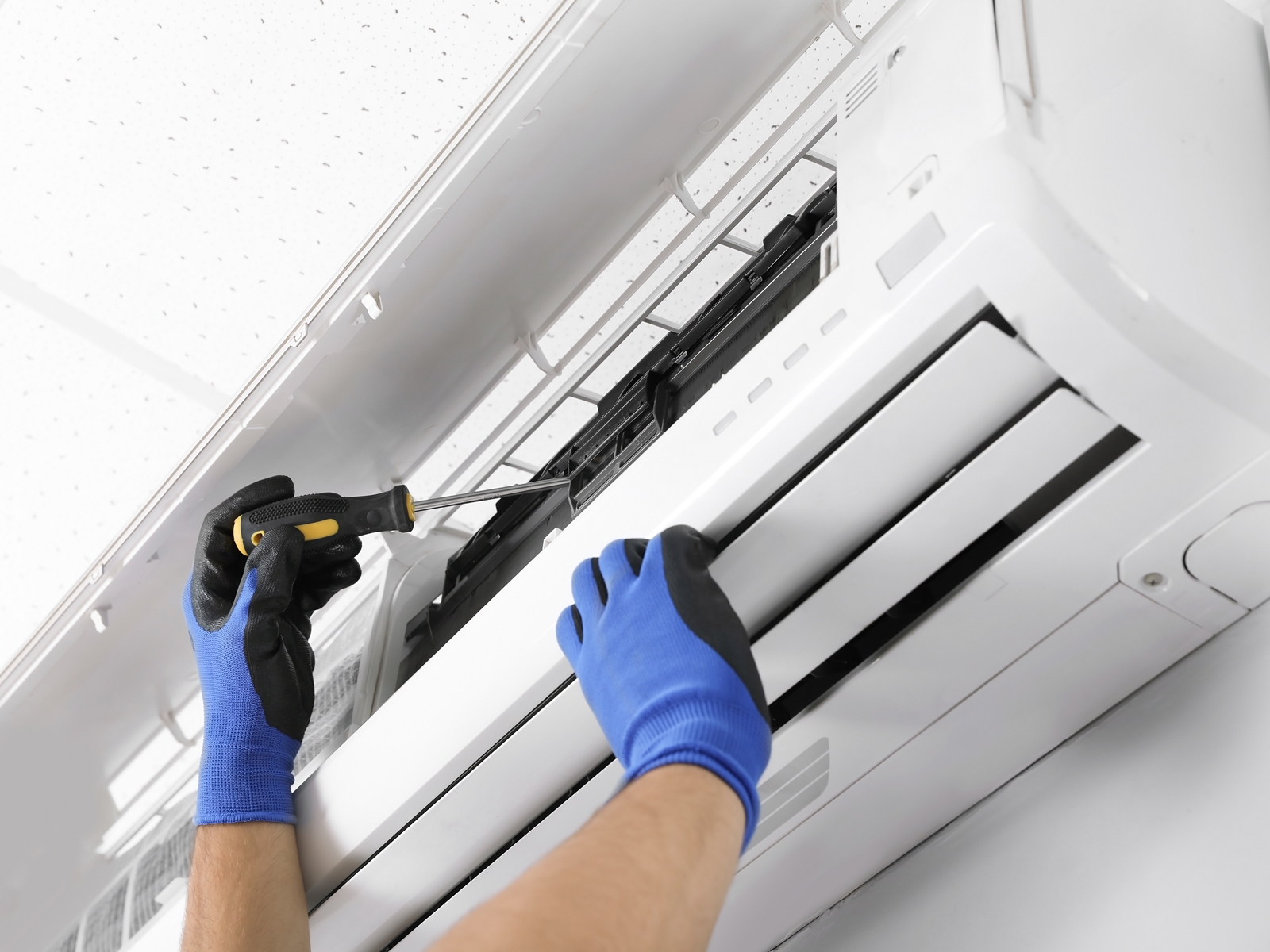 東芝電器有限公司-undefined