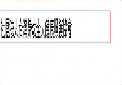 社團法人台灣婦幼全人健康照護協會-undefined