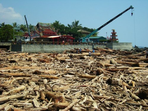 吊車、起重機出租、綱架按裝、機械搬運、鴿舍吊裝
