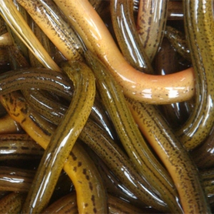 三騰企業行-undefined