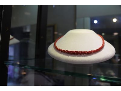 紫雲珊瑚有限公司-undefined