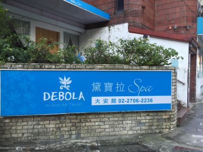 黛寶拉股份有限公司-undefined