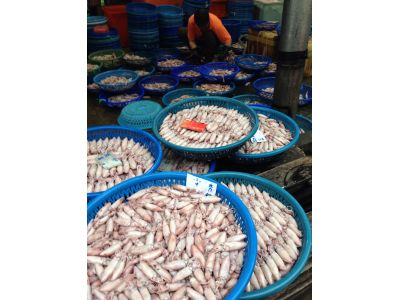 新鱻貨海鮮店-undefined