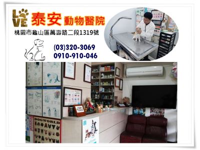 泰安動物醫院-undefined