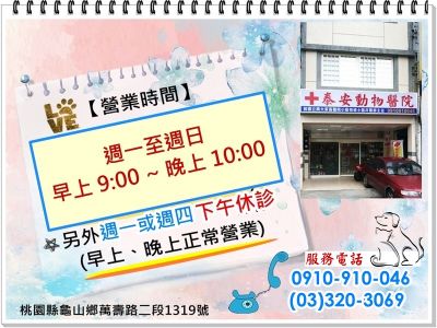 泰安動物醫院-undefined