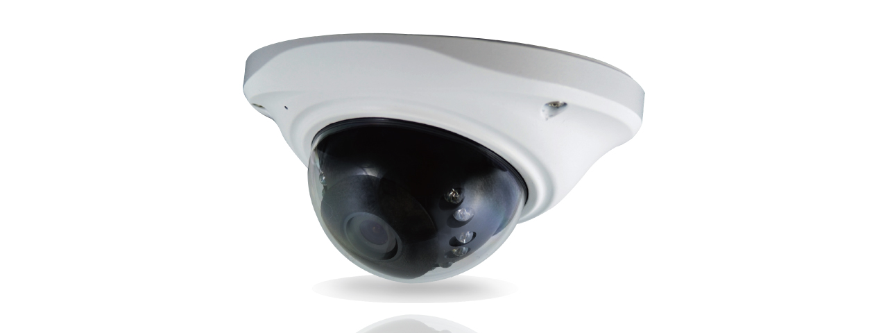 2百萬畫素防爆球型攝影機