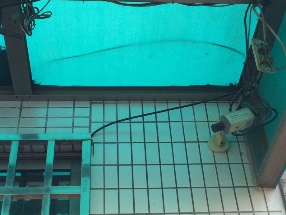 103.10.06三德研磨