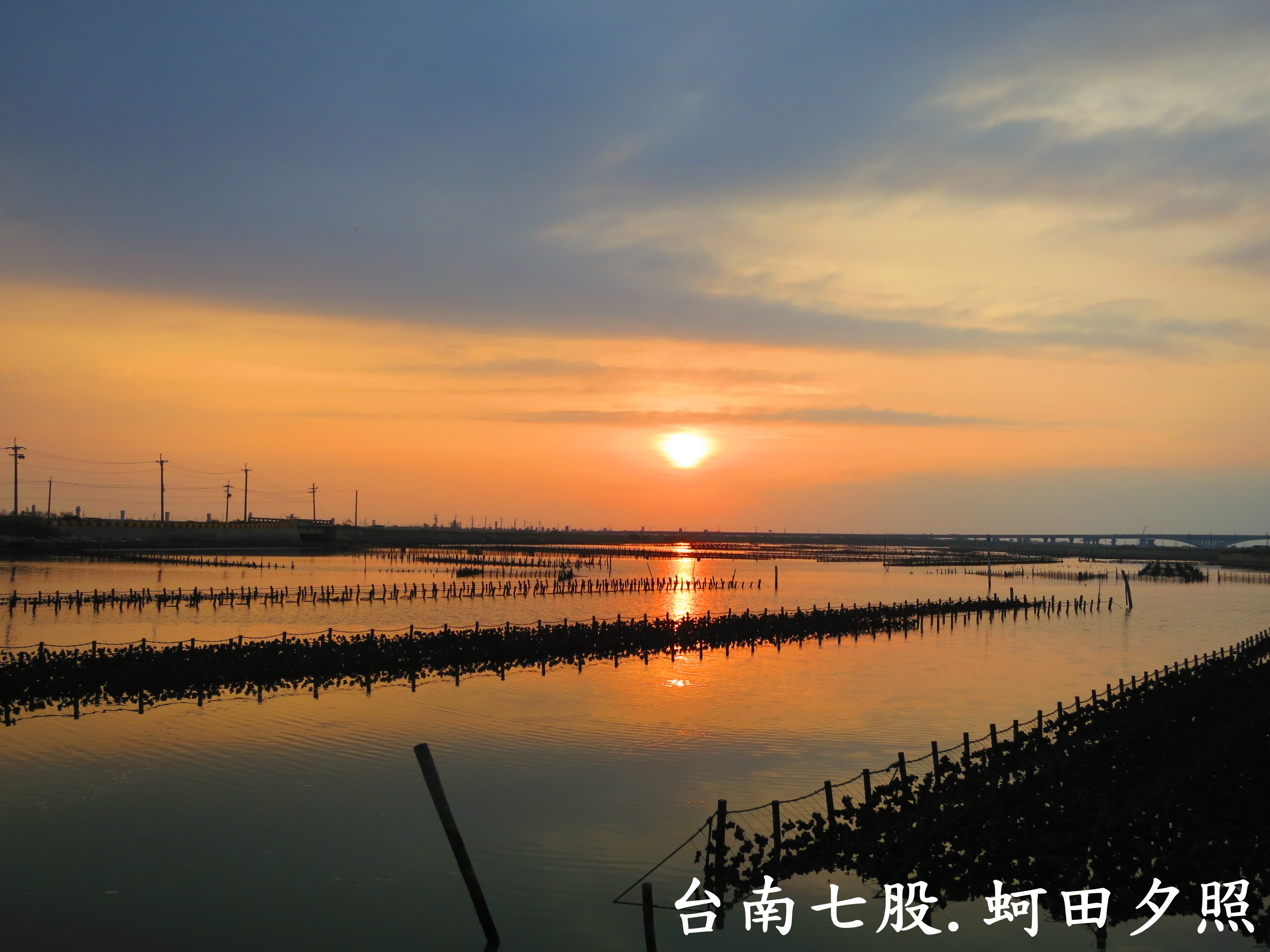 七股龍海號生態之旅-undefined