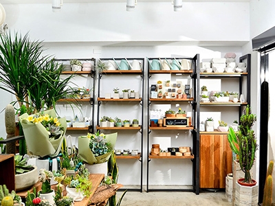 樂品行銷有限公司-undefined