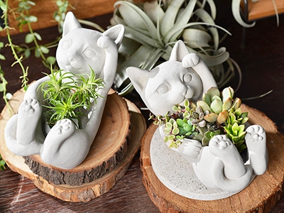 樂品行銷有限公司-undefined