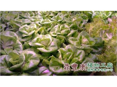 鼎豐康國際實業有限公司-undefined