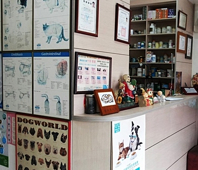 泰安動物醫院-掛號處