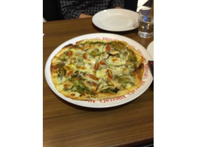 Alleycat's-undefined