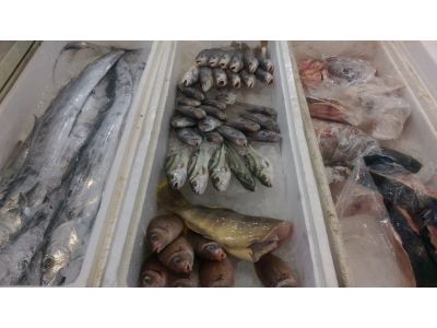 大目仔海產店-undefined