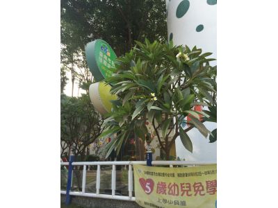 佳恩幼兒園-undefined