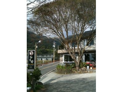 阿里山樂野鄒築園-undefined