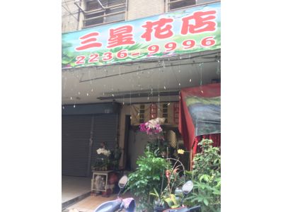 三星花苑-undefined