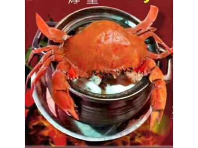 焞皇紅蟳薑母鴨-安吉店-undefined