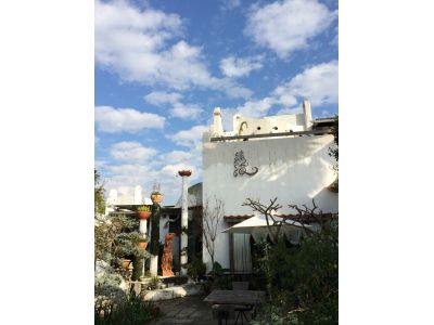 綠海 景觀/咖啡/園藝/簡餐-undefined