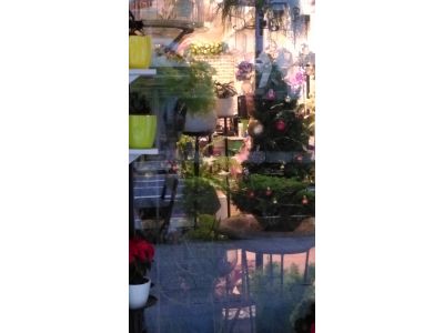 鍾安花店-undefined