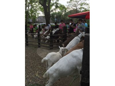 華ㄧ休閒農場-undefined