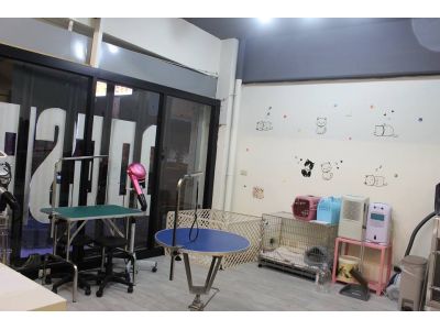 DOG SPACE - 寵物空間-undefined