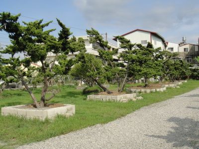 田中花園-undefined