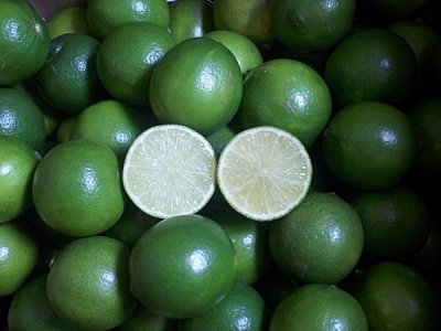 屏東檸檬產銷班