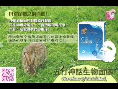 天天美國際貿易有限公司-undefined