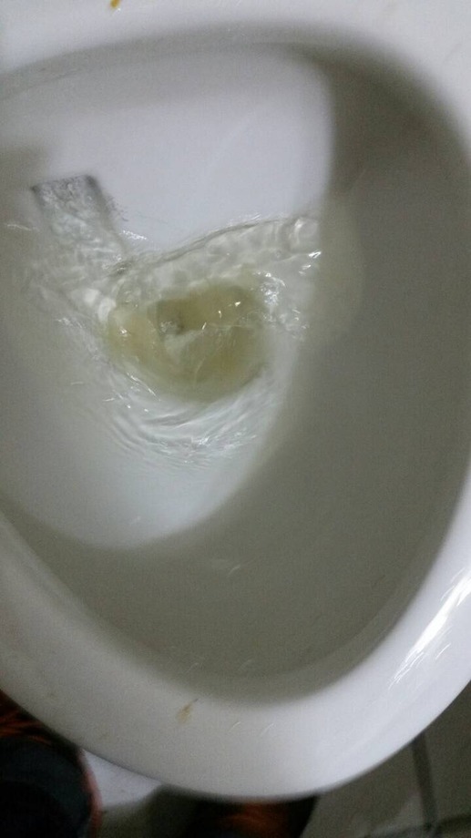 台中通馬桶、疏通馬桶