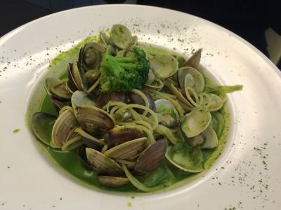 懷特朵兒-undefined