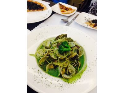 懷特朵兒-undefined