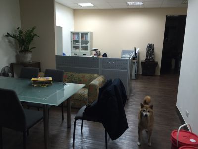 偉立清潔-undefined