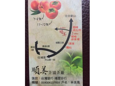 順美茶園茶廠-undefined