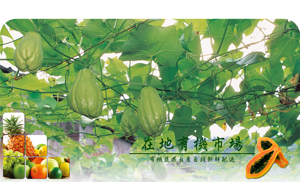 在地有機市集-其他