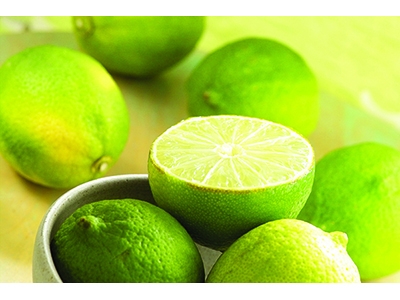 在地有機市集-其他